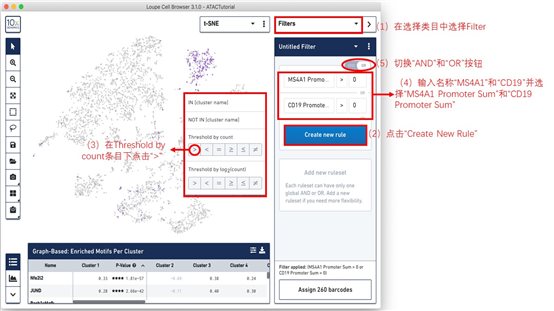 利来国际·w66(中国)老牌国际官网