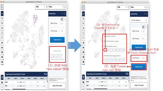 利来国际·w66(中国)老牌国际官网