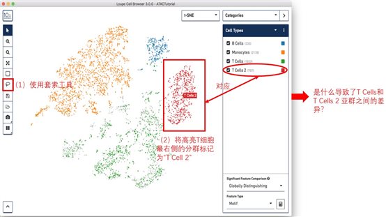 利来国际·w66(中国)老牌国际官网