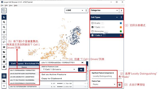 利来国际·w66(中国)老牌国际官网