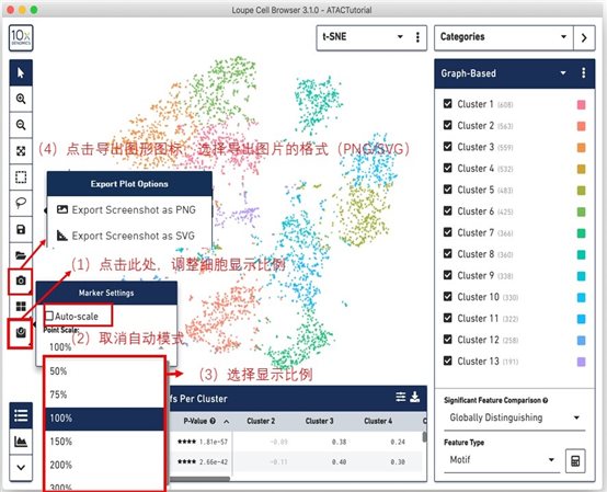 利来国际·w66(中国)老牌国际官网