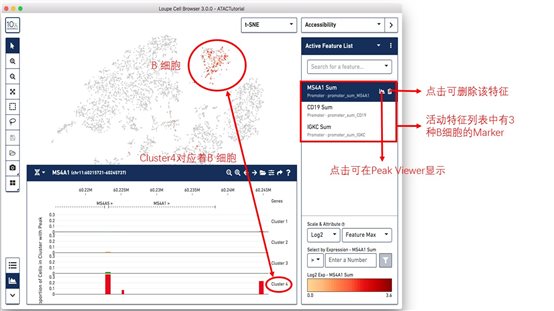 利来国际·w66(中国)老牌国际官网