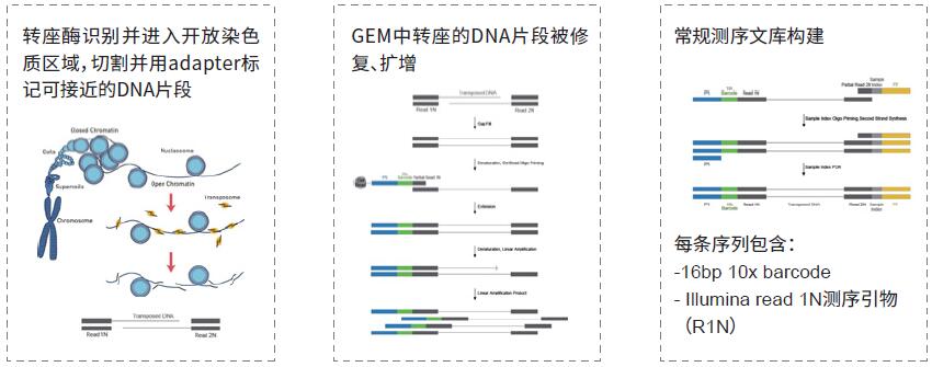 利来国际·w66(中国)老牌国际官网