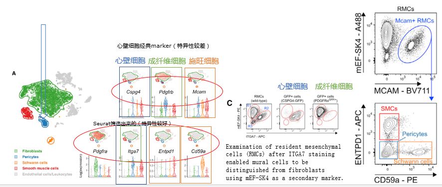 利来国际·w66(中国)老牌国际官网