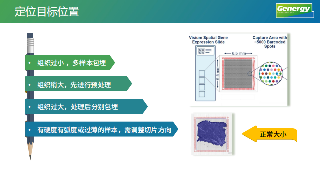 利来国际·w66(中国)老牌国际官网