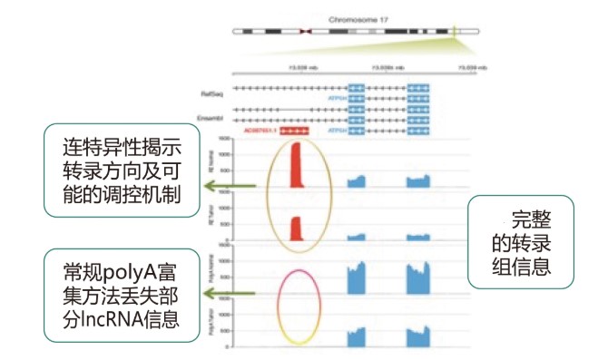 利来国际·w66(中国)老牌国际官网